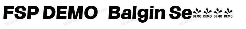 FSP DEMO   Balgin Se字体转换